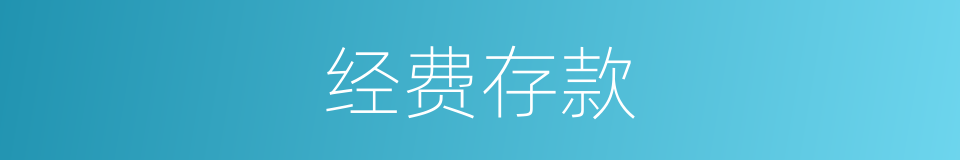 经费存款的同义词