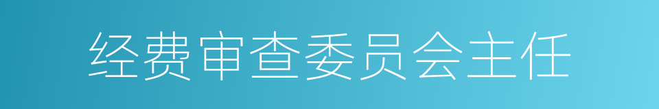 经费审查委员会主任的同义词