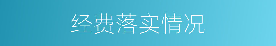经费落实情况的同义词