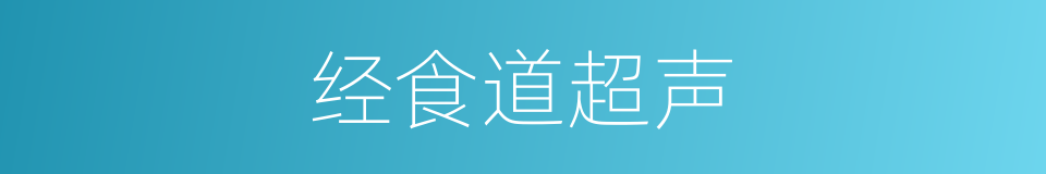 经食道超声的同义词