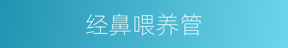 经鼻喂养管的同义词