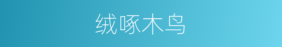 绒啄木鸟的同义词