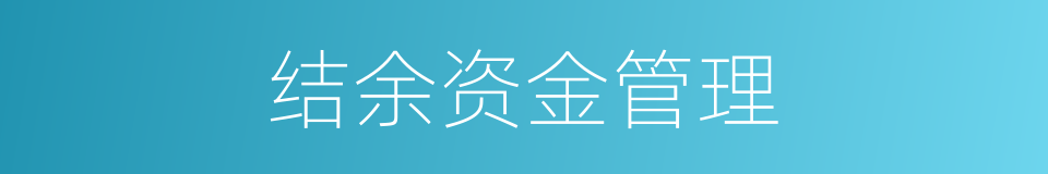 结余资金管理的同义词