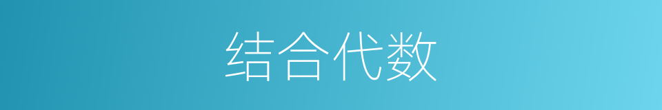 结合代数的同义词