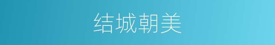 结城朝美的同义词