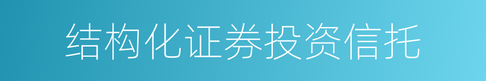 结构化证券投资信托的同义词