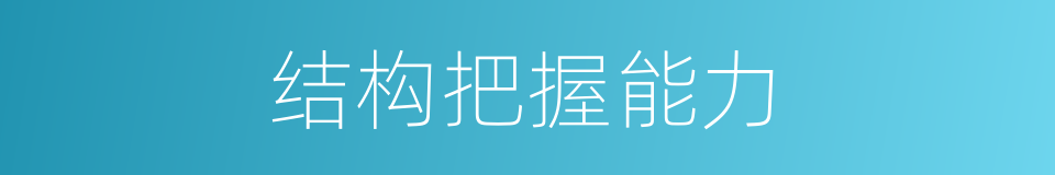 结构把握能力的同义词