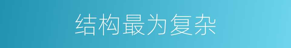 结构最为复杂的同义词