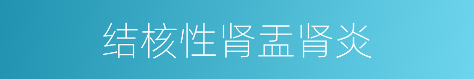 结核性肾盂肾炎的同义词
