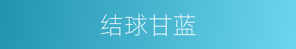 结球甘蓝的意思