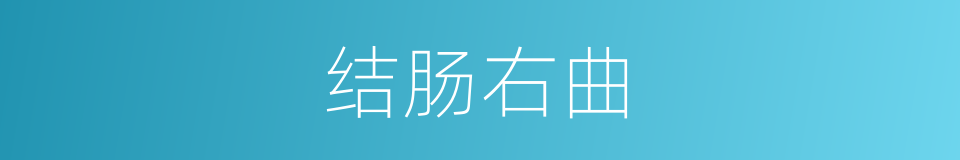 结肠右曲的同义词