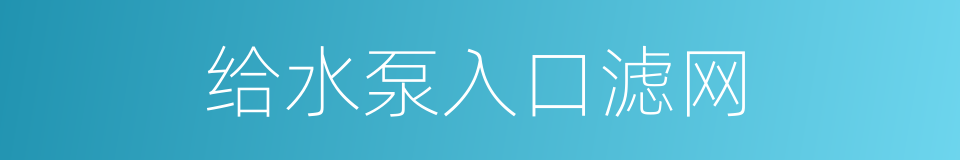给水泵入口滤网的同义词