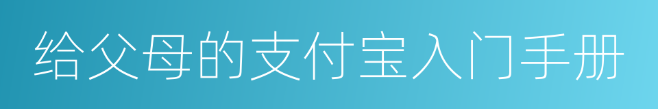 给父母的支付宝入门手册的同义词