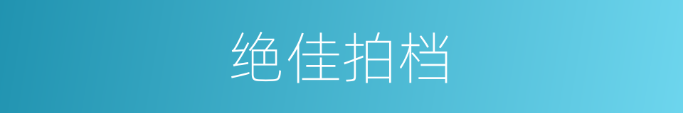 绝佳拍档的同义词
