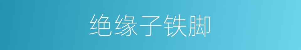 绝缘子铁脚的同义词