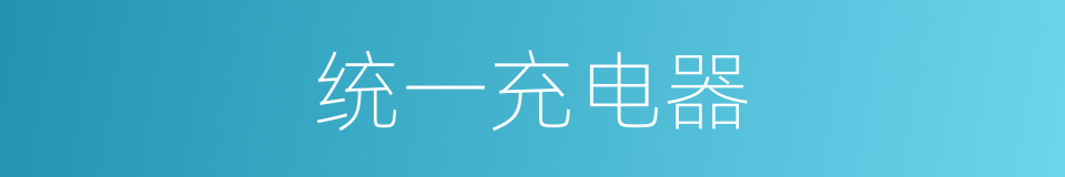 统一充电器的同义词