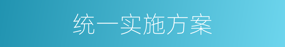 统一实施方案的同义词