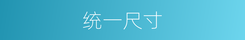 统一尺寸的同义词