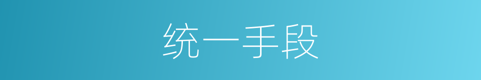 统一手段的同义词