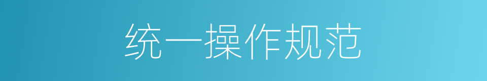 统一操作规范的同义词