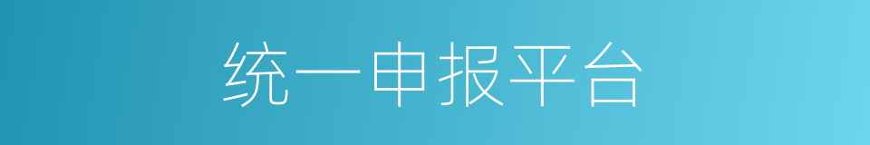 统一申报平台的同义词