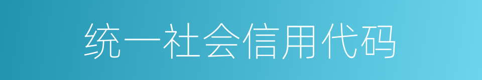 统一社会信用代码的同义词