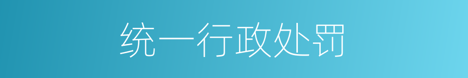 统一行政处罚的同义词