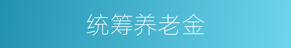 统筹养老金的同义词