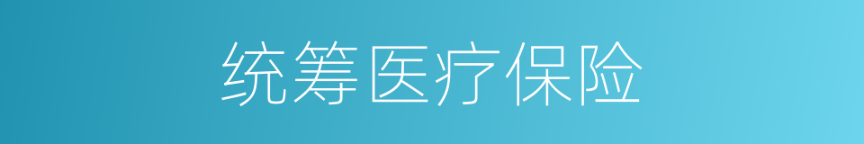 统筹医疗保险的同义词