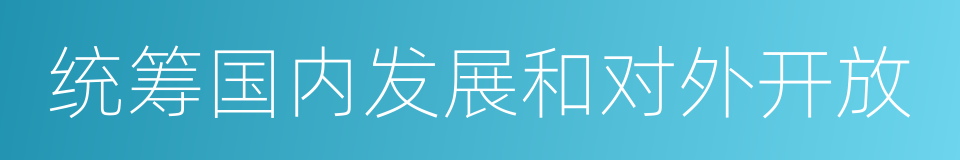 统筹国内发展和对外开放的同义词