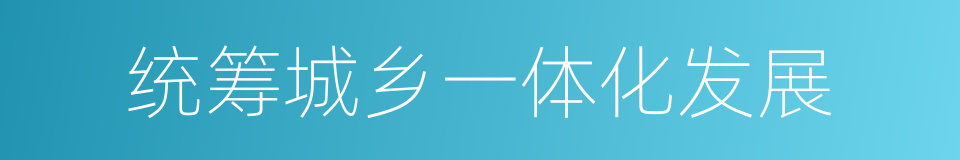 统筹城乡一体化发展的同义词