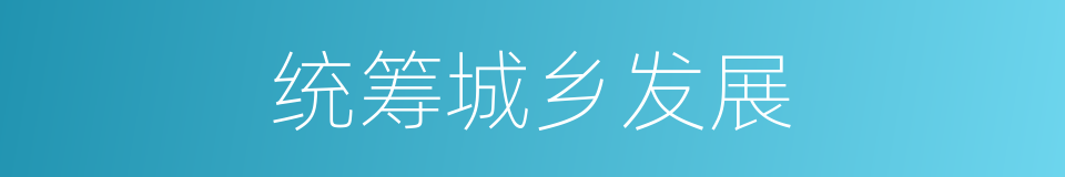 统筹城乡发展的同义词