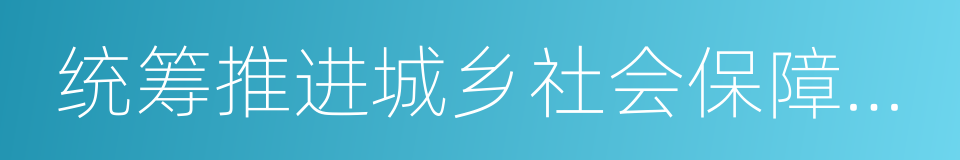 统筹推进城乡社会保障体系建设的同义词