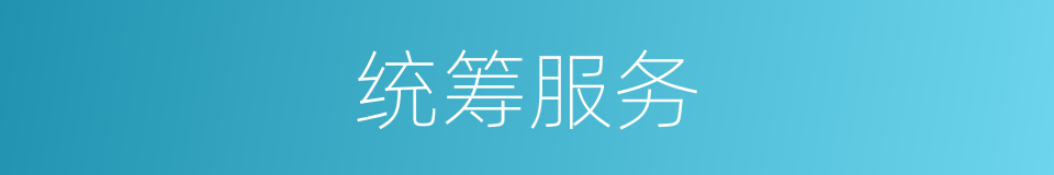 统筹服务的同义词