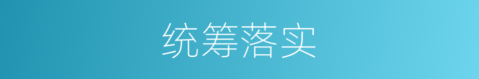 统筹落实的同义词