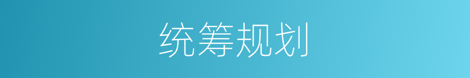 统筹规划的意思