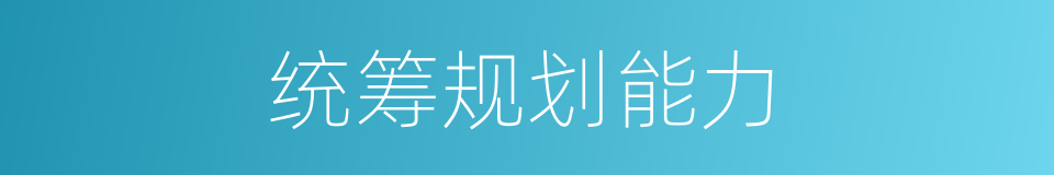 统筹规划能力的同义词