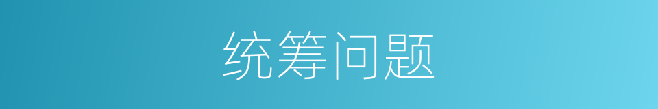 统筹问题的同义词