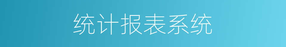 统计报表系统的同义词