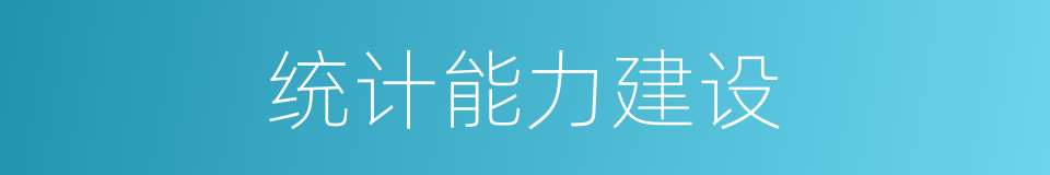 统计能力建设的同义词