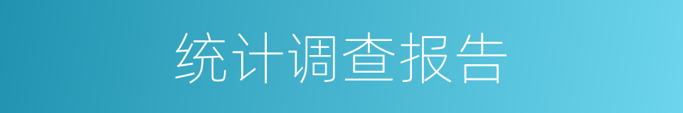 统计调查报告的同义词
