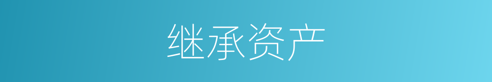 继承资产的同义词