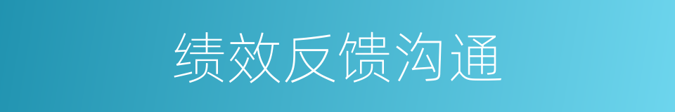 绩效反馈沟通的同义词
