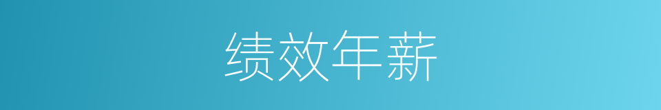 绩效年薪的同义词