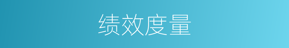 绩效度量的同义词