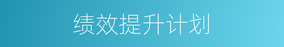 绩效提升计划的同义词