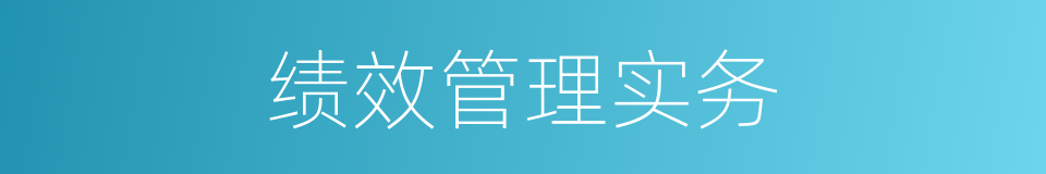 绩效管理实务的同义词
