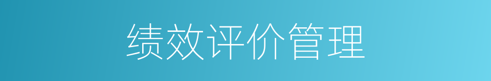 绩效评价管理的同义词