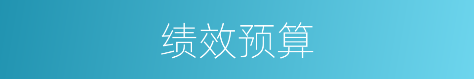 绩效预算的同义词