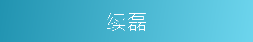 续磊的同义词